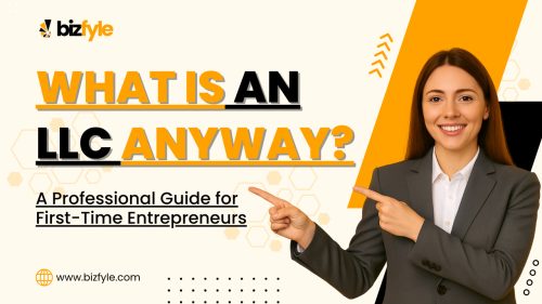 What is an LLC Anyway