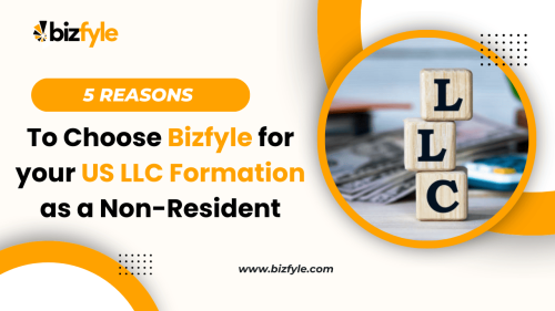 Why-Bizfyle (1)